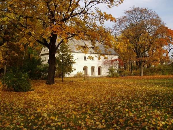 Осень в Юрбаркас