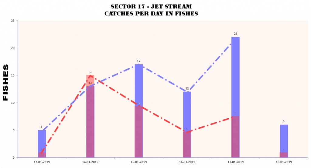 SECTOR 17 - SECTOR 8 CATCHES PER DAY FISHES COMPARE