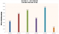 SECTOR 17 - CATCHES PER DAY KG