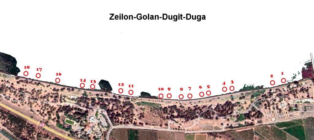 zeilon-duga 11-12-2021