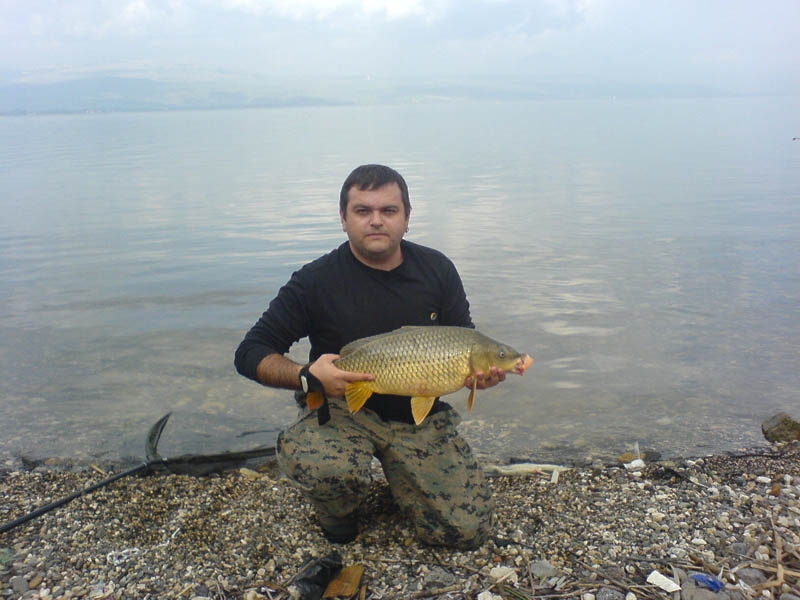 Carp8