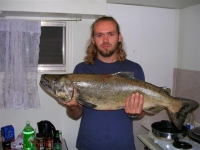 Coho (king) Salmon 12.5 kg