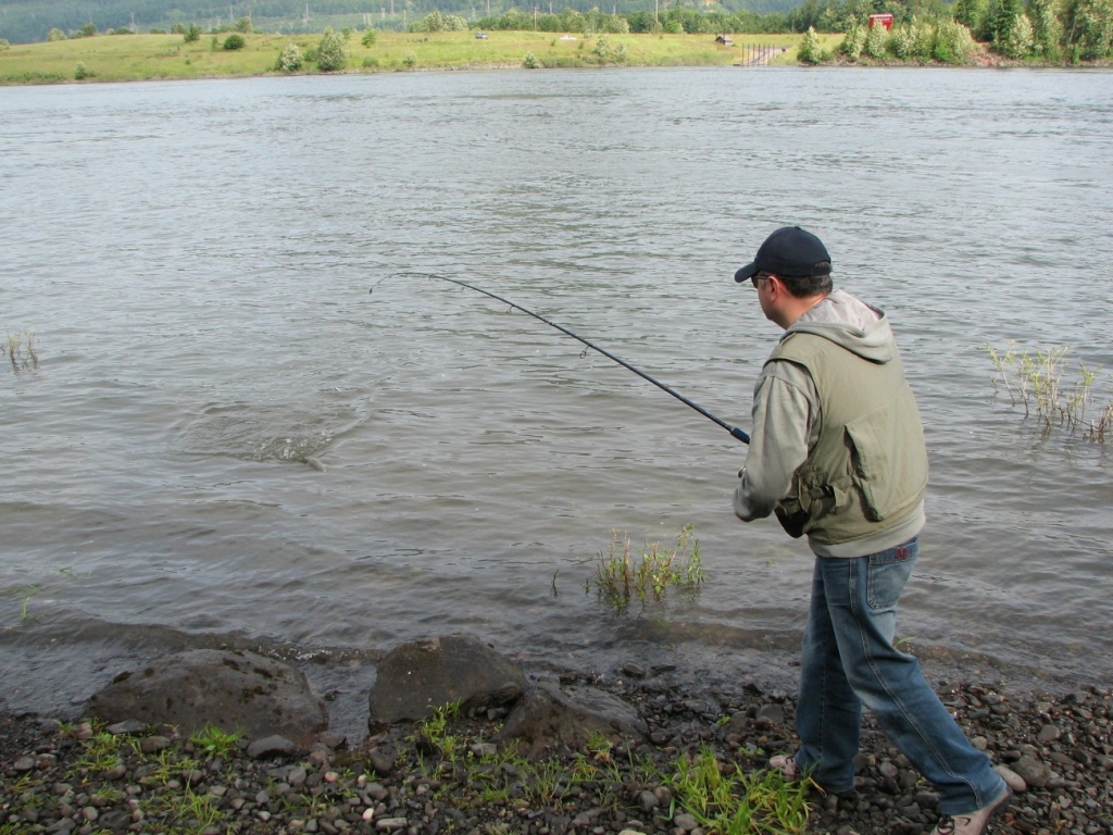 Shad Fishing