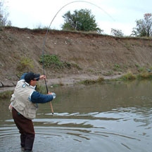 Landing the fish (1)