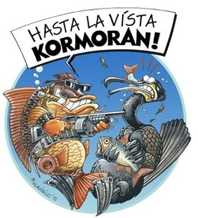 Kormoran