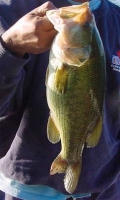 LargeMouth 2