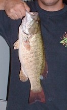 SmallMouth