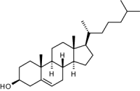 Cholesterol