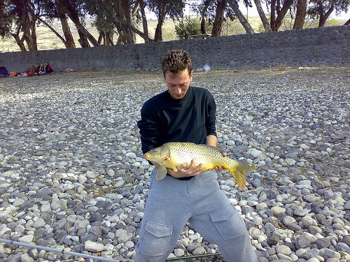 Carp2